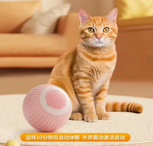 猫咪正在玩 FACAIKU PET 互动球